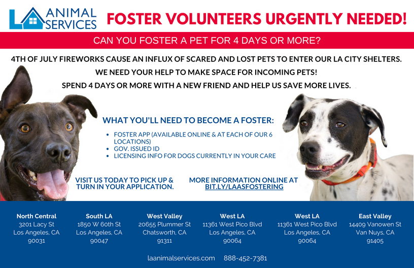 LAAS Fosters Needed